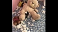 Doggy Fucks The Fuck Out Of Daughters’ Massive Bear