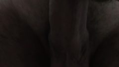 Banging Crazy Girl Doggy Style Brazilian Huge Cock Close Up Reverse