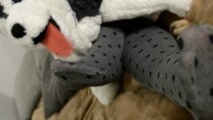 Lick My Nice Feet In Opaque Grey Tights, Doggy Slave