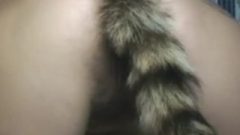 Squirrel Tail Dildo Plug In Super Hairy Vixen Twat Doggy Style