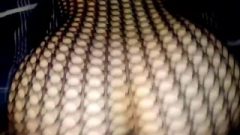 Mesmerizing Fishnet Reverse Cowgirl And Doggy Position Cream Pie!
